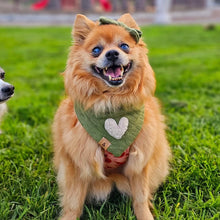 Load image into Gallery viewer, LAST CHANCE! the royce dog bandana