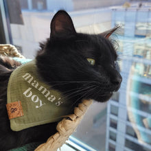 Load image into Gallery viewer, mama's boy green gauze dog bandana