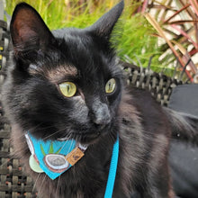 Load image into Gallery viewer, cocomutts dog bandana