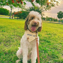 Load image into Gallery viewer, golden hour gingham bandana