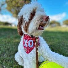 Load image into Gallery viewer, everlasting love dog bandana