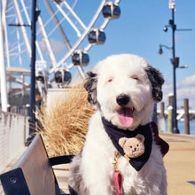 Load image into Gallery viewer, the cameron dog bandana