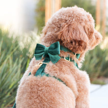 Load image into Gallery viewer, emerald green velvet bow