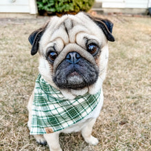 Load image into Gallery viewer, oliver plaid dog bandana