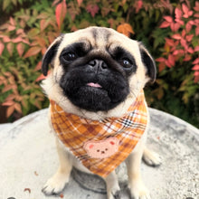 Load image into Gallery viewer, salted caramel flannel dog bandana