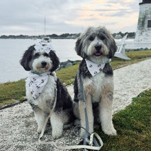 Load image into Gallery viewer, seas the day dog bandana