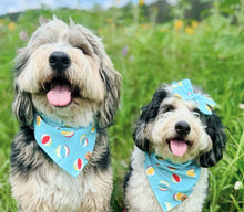 Load image into Gallery viewer, beach ballin' dog bandana