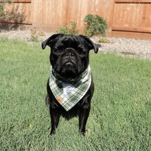 Load image into Gallery viewer, oliver plaid letterman dog bandana