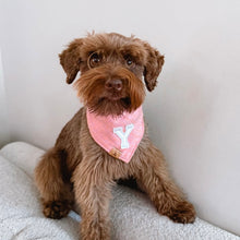 Load image into Gallery viewer, strawberry shortcake letterman dog bandana