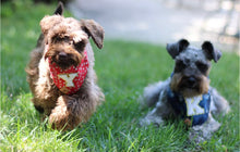 Load image into Gallery viewer, pawtriotic denim letterman dog bandana