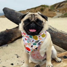 Load image into Gallery viewer, beach vibes dog bandana