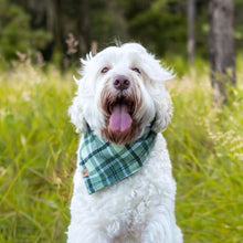 Load image into Gallery viewer, LAST CHANCE! cozy sage flannel dog bandana