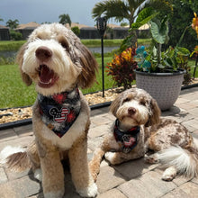 Load image into Gallery viewer, born to sparkle dog bandana