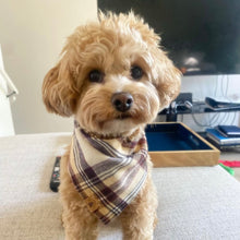 Load image into Gallery viewer, shaken expresso flannel dog bandana