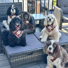 Load image into Gallery viewer, apple harvest flannel dog bandana