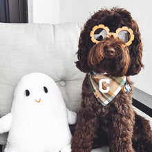 Load image into Gallery viewer, caramel apple flannel letterman dog bandana