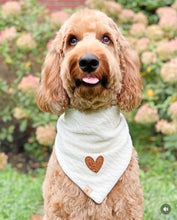 Load image into Gallery viewer, the millie dog bandana