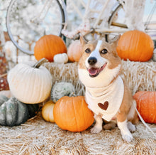 Load image into Gallery viewer, the millie dog bandana
