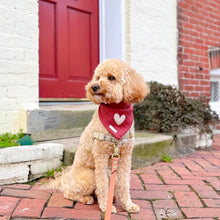 Load image into Gallery viewer, puppy love dog bandana