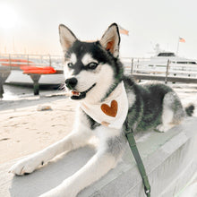 Load image into Gallery viewer, the millie dog bandana