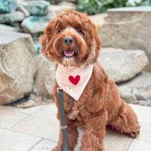 Load image into Gallery viewer, bubblegum love dog bandana