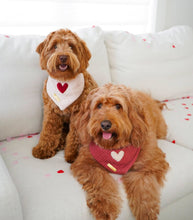 Load image into Gallery viewer, bubblegum love dog bandana
