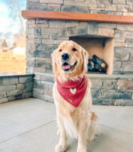 Load image into Gallery viewer, puppy love dog bandana