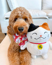 Load image into Gallery viewer, LNY lucky cat dog bandana