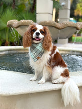 Load image into Gallery viewer, forest fog flannel dog bandana