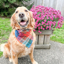 Load image into Gallery viewer, midnight amber flannel dog bandana