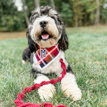 Load image into Gallery viewer, cinnamon spice flannel letterman dog bandana