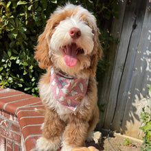 Load image into Gallery viewer, pink squad ghouls dog bandana (glow in the dark!)