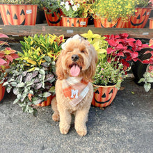 Load image into Gallery viewer, chai latte flannel letterman dog bandana