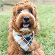 Load image into Gallery viewer, hollows eve flannel dog bandana