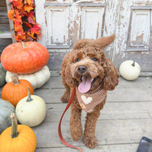 Load image into Gallery viewer, LAST CHANCE! snickerdoodle dog bandana