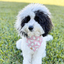 Load image into Gallery viewer, pink squad ghouls dog bandana (glow in the dark!)