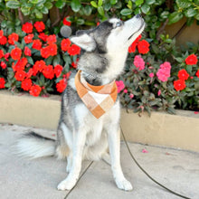 Load image into Gallery viewer, caramel pop flannel dog bandana
