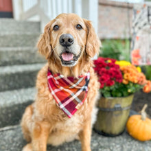 Load image into Gallery viewer, cinnamon spice flannel dog bandana