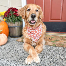 Load image into Gallery viewer, autumn's warmth dog bandana