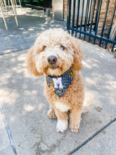 Load image into Gallery viewer, miss elliot dog bandana