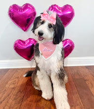 Load image into Gallery viewer, strawberry shortcake plaid with lover patch dog bandana