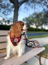 Load image into Gallery viewer, actually romantic flannel dog bandana