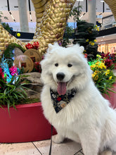 Load image into Gallery viewer, LNY black koi fish dog bandana