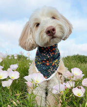 Load image into Gallery viewer, miss elliot dog bandana