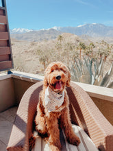 Load image into Gallery viewer, may flowers dog bandana