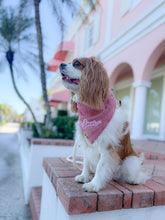 Load image into Gallery viewer, TSWIFT add-on patches