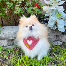 Load image into Gallery viewer, puppy love dog bandana