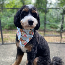 Load image into Gallery viewer, cup doodles (light blue) dog bandana