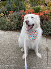 Load image into Gallery viewer, pizza pawty dog bandana
