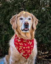 Load image into Gallery viewer, LNY blossoms dog bandana